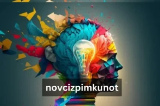 Novcizpimkunot: Understanding Its Significance and Applications