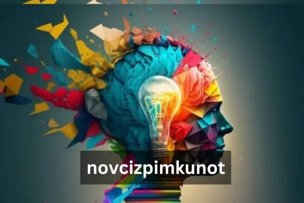 Novcizpimkunot: Understanding Its Significance and Applications