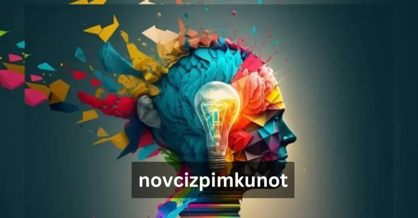 Novcizpimkunot: Understanding Its Significance and Applications
