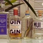 Giniä: Understanding Its Meaning and Relevance