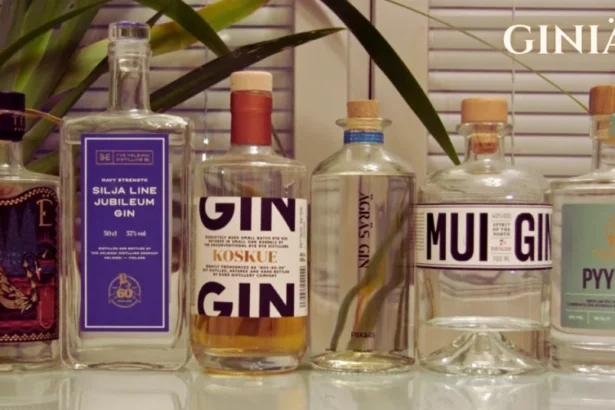 Giniä: Understanding Its Meaning and Relevance