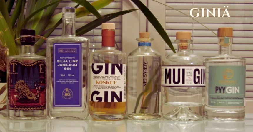 Giniä: Understanding Its Meaning and Relevance