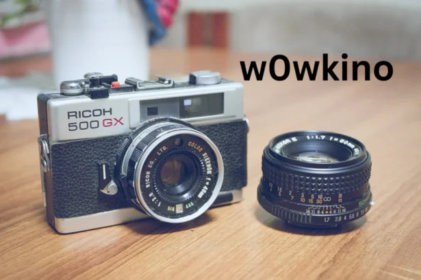 What Is w0wkino? A Complete Overview